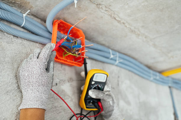 Best Ceiling Fan Installation Electrician  in Tampa, FL
